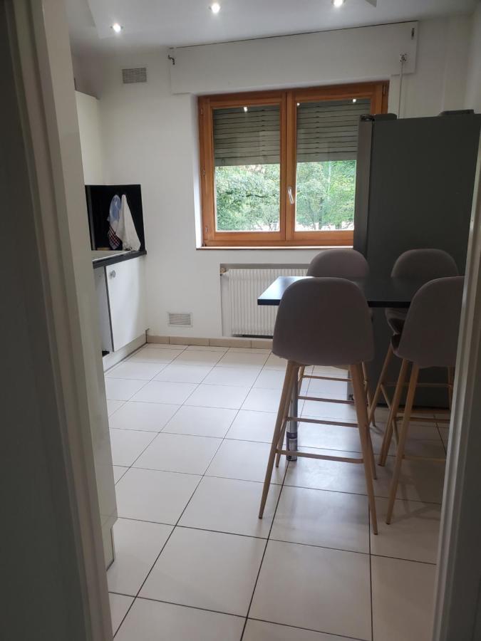 Appartement Meuble Aux Portes De Geneve Аннмасс Екстер'єр фото